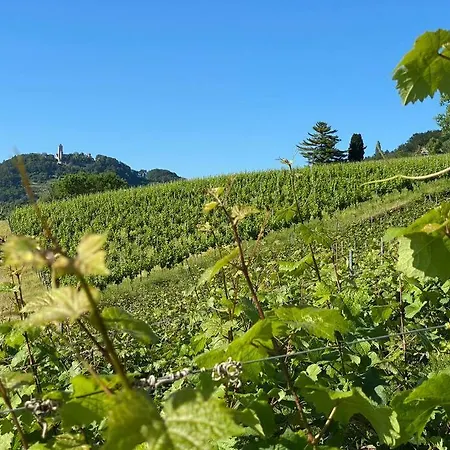 Acapella Adagio 54qm, Direkt Am Weinberg, Altstadt, Netflix Inklusive דירה