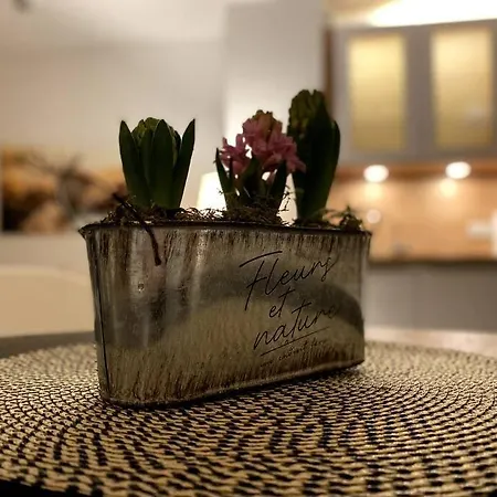 Acapella Adagio 54qm, Direkt Am Weinberg, Altstadt, Netflix Inklusive Apartment Heppenheim (Bergstrasse)