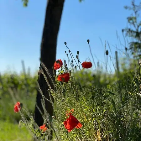 Acapella Adagio 54qm, Direkt Am Weinberg, Altstadt, Netflix Inklusive Apartment Heppenheim (Bergstrasse)