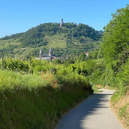 Acapella Adagio 54qm, Direkt Am Weinberg, Altstadt, Netflix Inklusive *