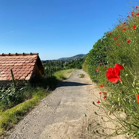 Acapella Adagio 54qm, Direkt Am Weinberg, Altstadt, Netflix Inklusive * Heppenheim (Bergstrasse)