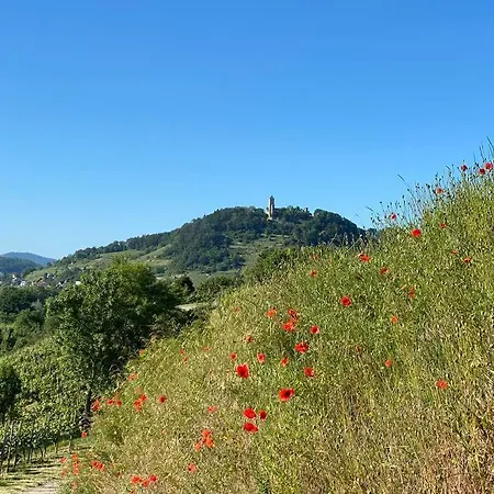 Acapella Adagio 54qm, Direkt Am Weinberg, Altstadt, Netflix Inklusive Apartment Heppenheim (Bergstrasse)