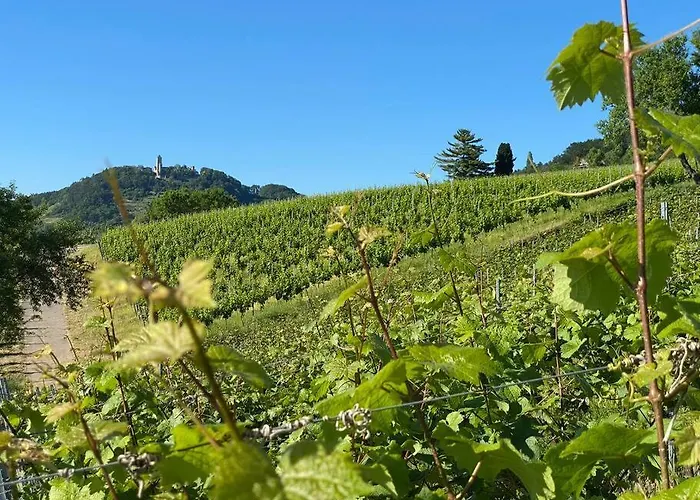Acapella Adagio 54qm, Direkt Am Weinberg, Altstadt, Netflix Inklusive Apartmán