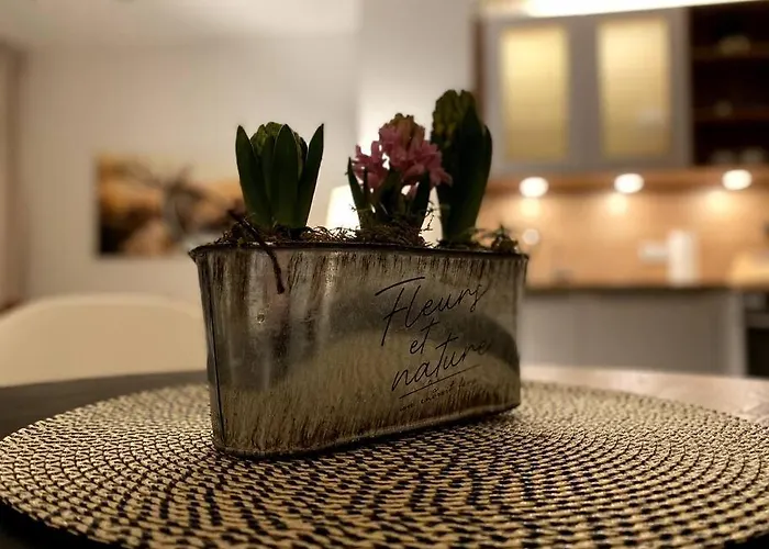 Acapella Adagio 54qm, Direkt Am Weinberg, Altstadt, Netflix Inklusive Apartmán Heppenheim (Bergstrasse)