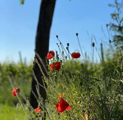 Acapella Adagio 54qm, Direkt Am Weinberg, Altstadt, Netflix Inklusive Apartmán Heppenheim (Bergstrasse)