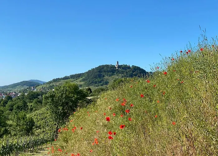 Acapella Adagio 54qm, Direkt Am Weinberg, Altstadt, Netflix Inklusive Apartmán Heppenheim (Bergstrasse)